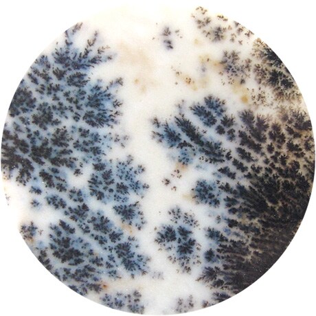 Jaquet Droz, Minerals, Dendritic Agate