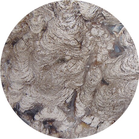 Jaquet Droz, Minerals, Stromatolite