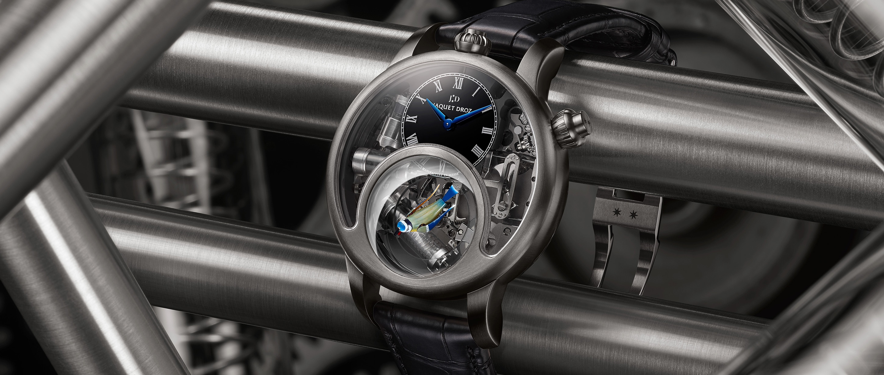 Charming Bird Titanium