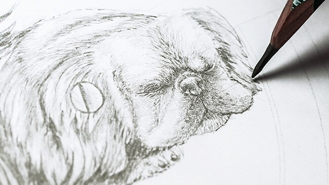 Jaquet Droz, Chinese New Year, Petite Heure Minute Dog, Sketching