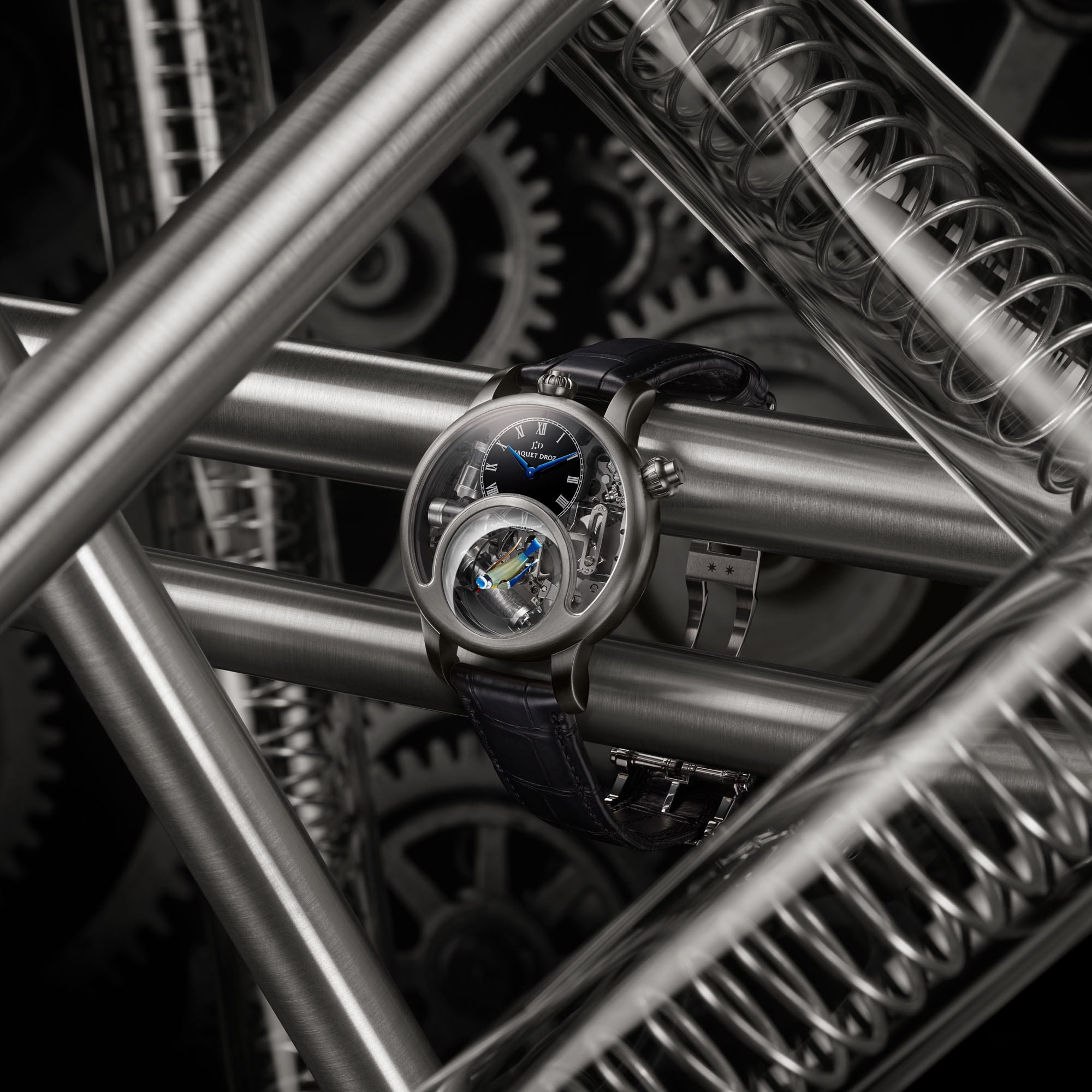 Charming Bird Titanium ambiance