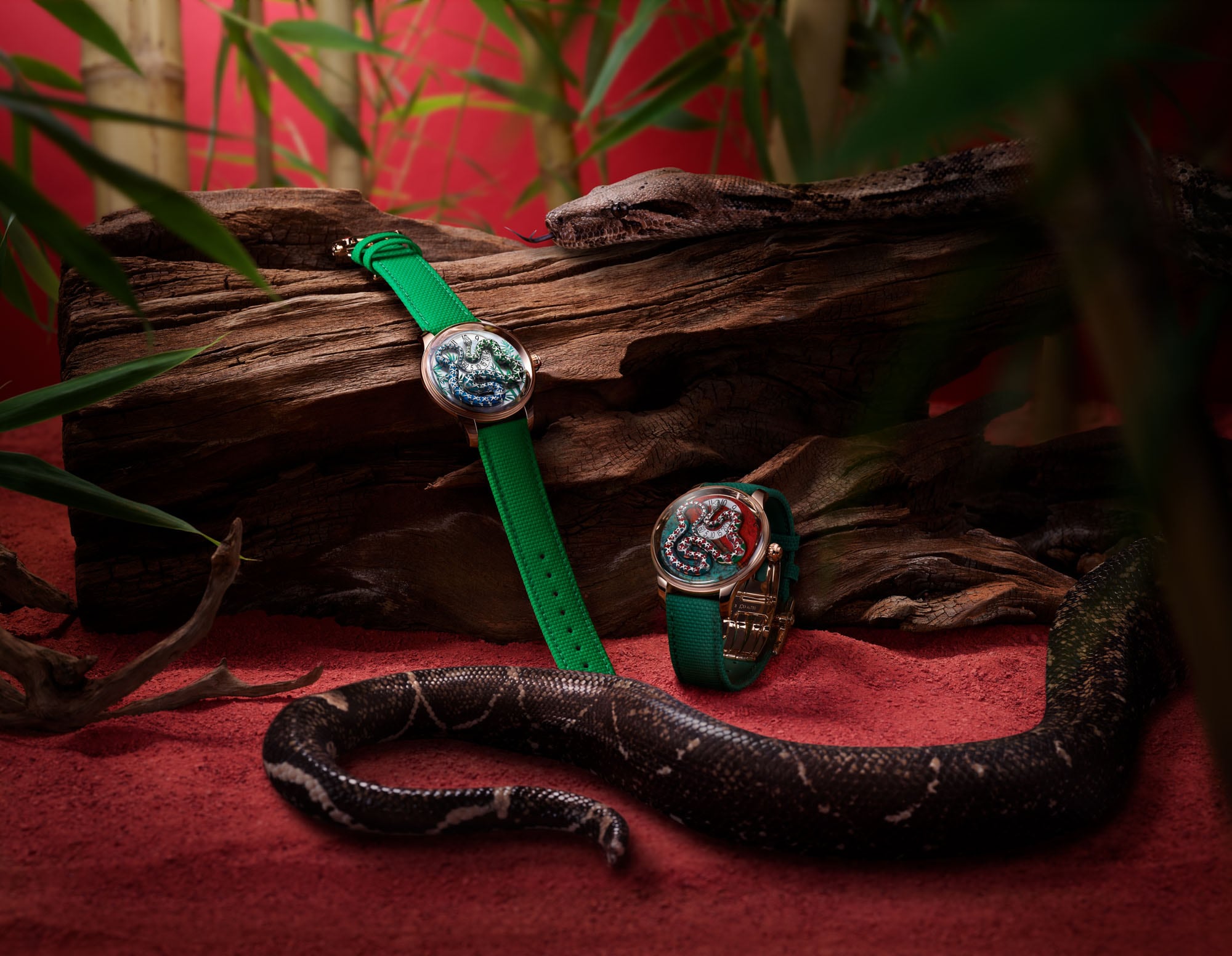 Ophidian Houre with a live snake duo ambiance