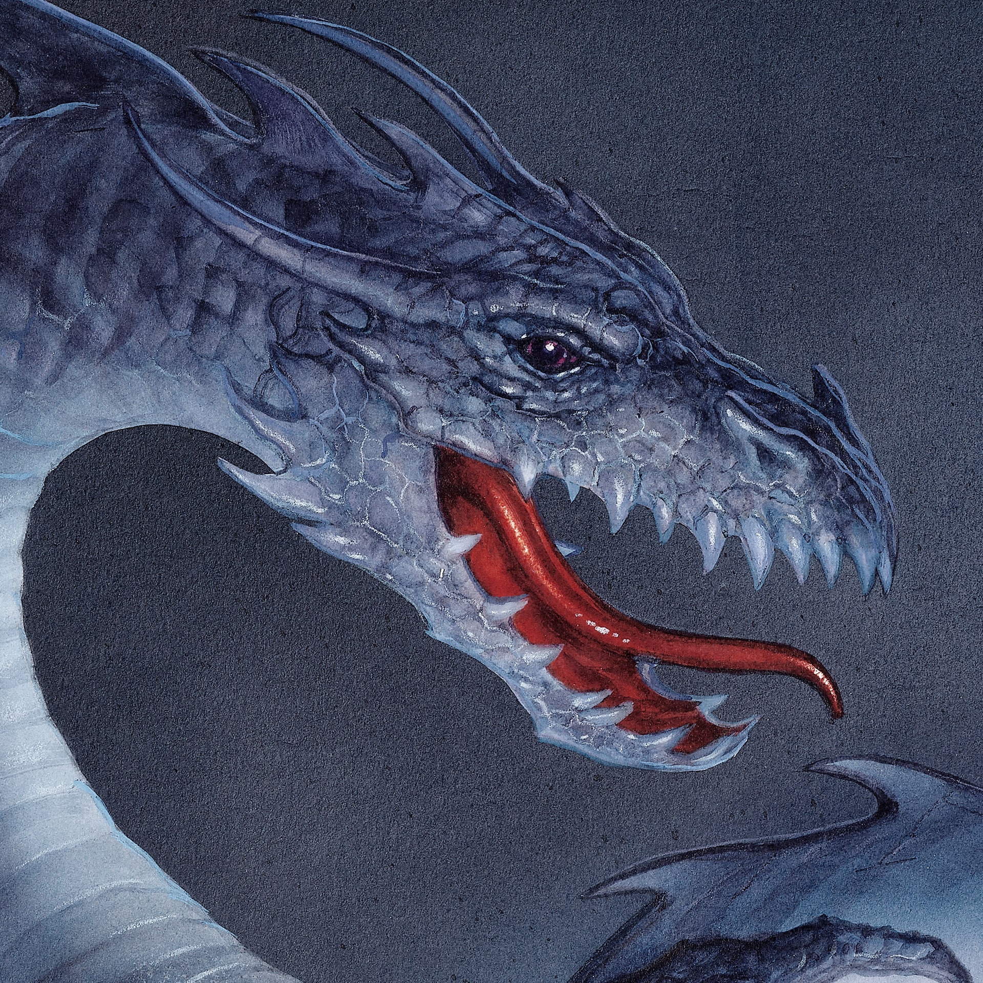 Tourbillon Dragon White Gold - John Howe