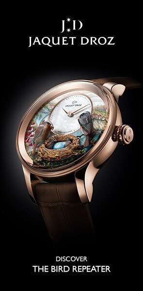 Discover the Bird Repeater Fall Of The Rhine