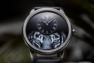 Jaquet Droz, Petite Heure Minute Tiger, 2020